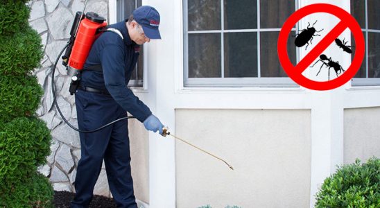 Eğirdir Gümüşkurt İlaçlama böcek ilaçlama ve haşere kontrolü — ilaclama-tr.com